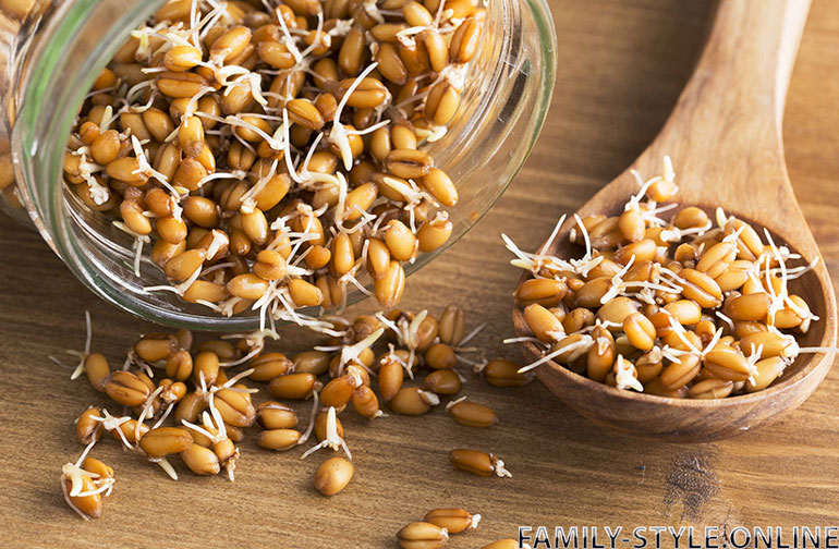 Как прорастить пшеницу: 7 шагов