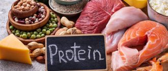 В каких продуктах содержится белок